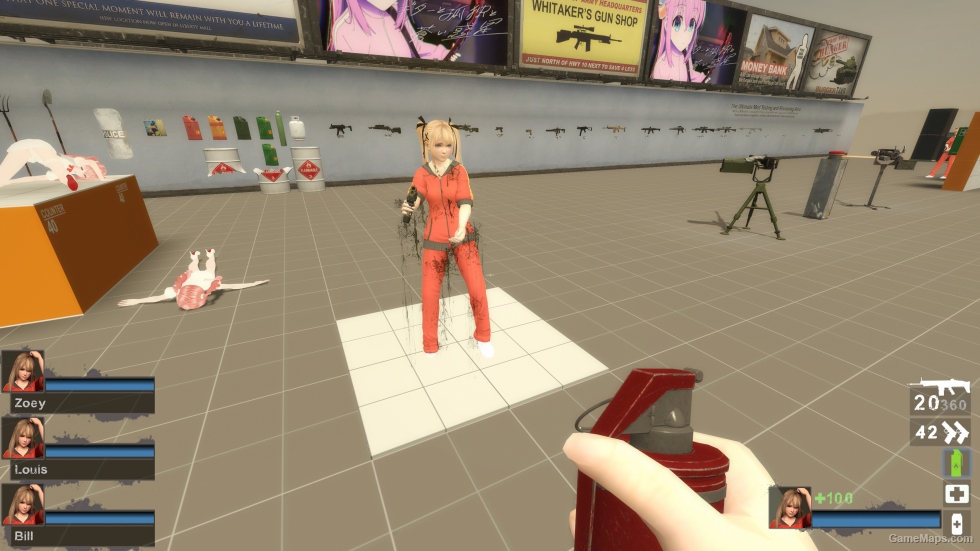 Only DOAXVV Marie Rose CS Zoey (request)
