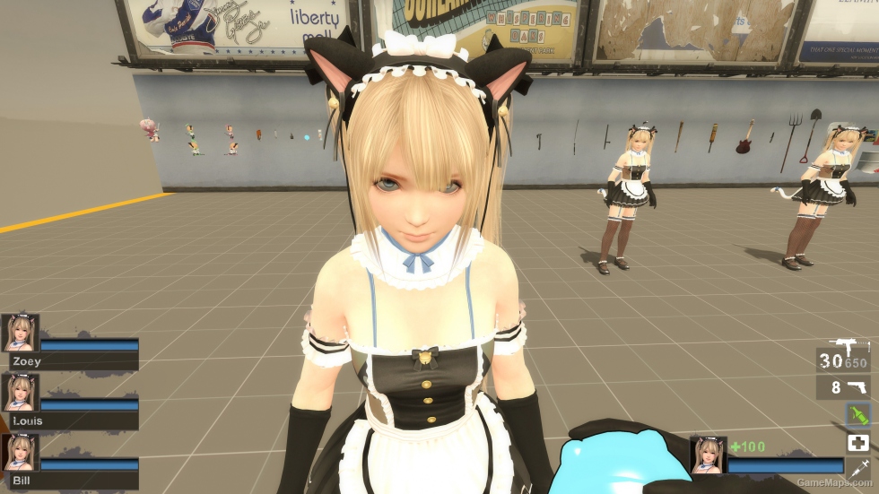 Only DOAXVV Marie Rose Whimsical Nyan Maid nht (request)