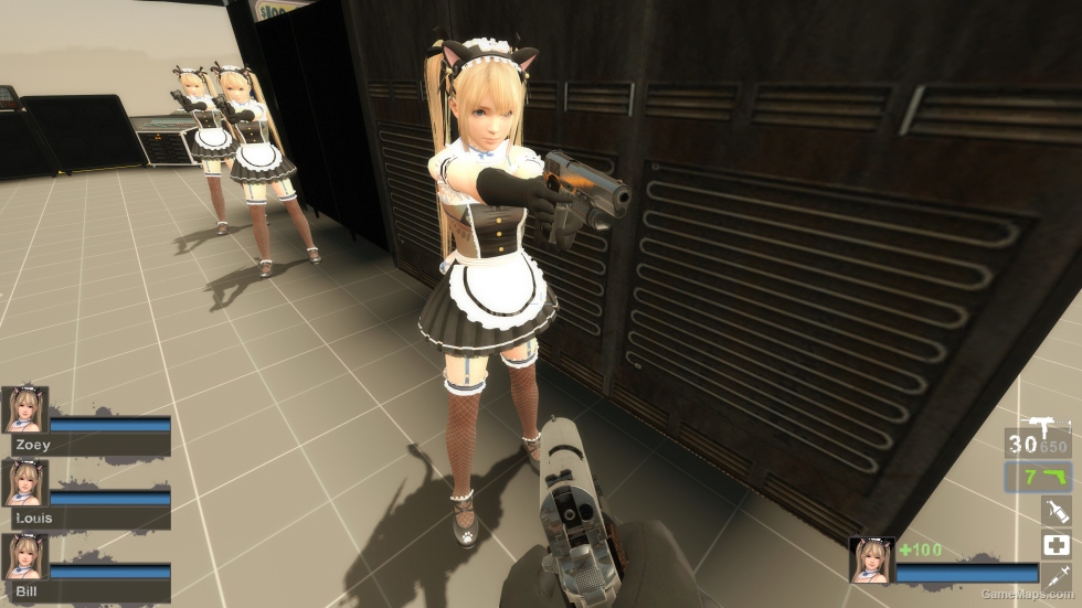Only DOAXVV Marie Rose Whimsical Nyan Maid nht (request)
