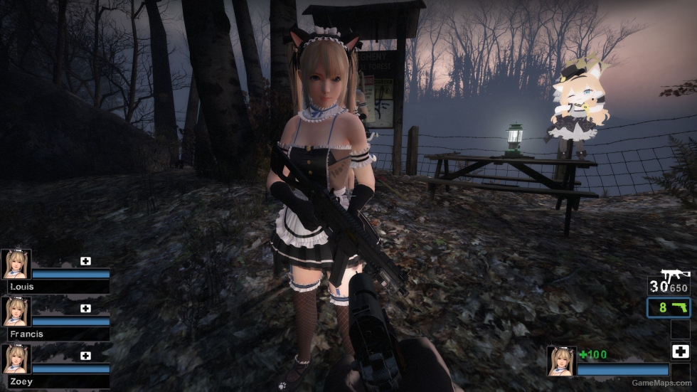 Only DOAXVV Marie Rose Whimsical Nyan Maid nht (request)