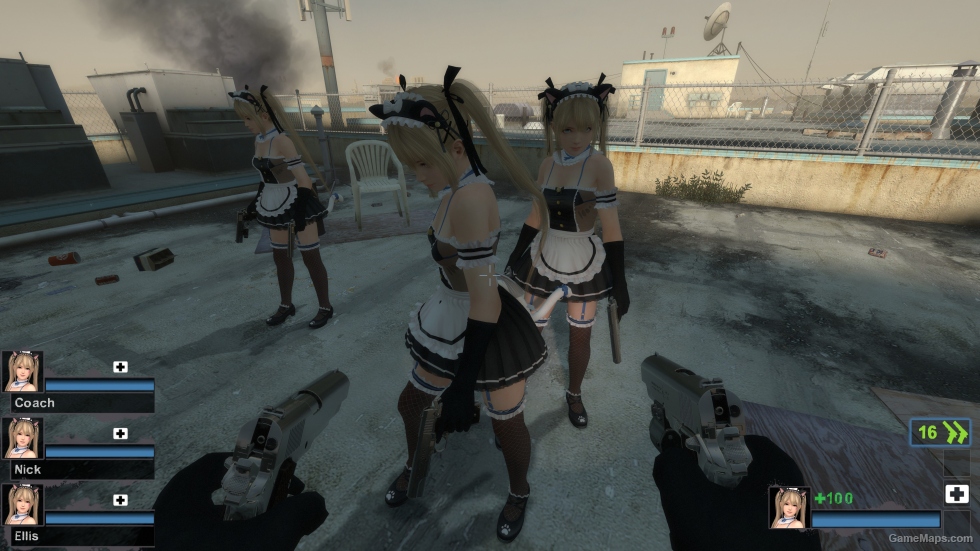 Only DOAXVV Marie Rose Whimsical Nyan Maid nht (request)