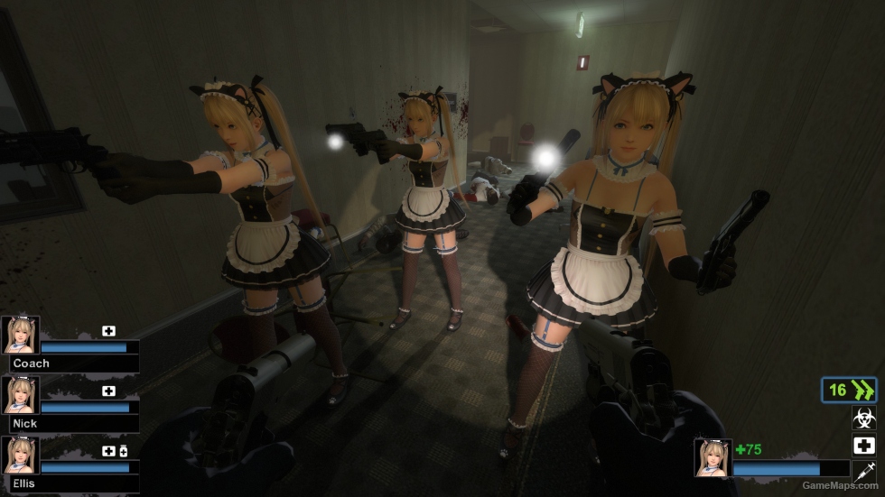 Only DOAXVV Marie Rose Whimsical Nyan Maid nht (request)