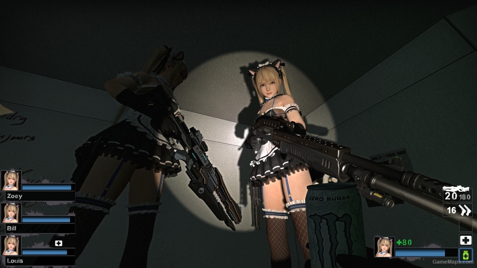 Only DOAXVV Marie Rose Whimsical Nyan Maid nht (request)