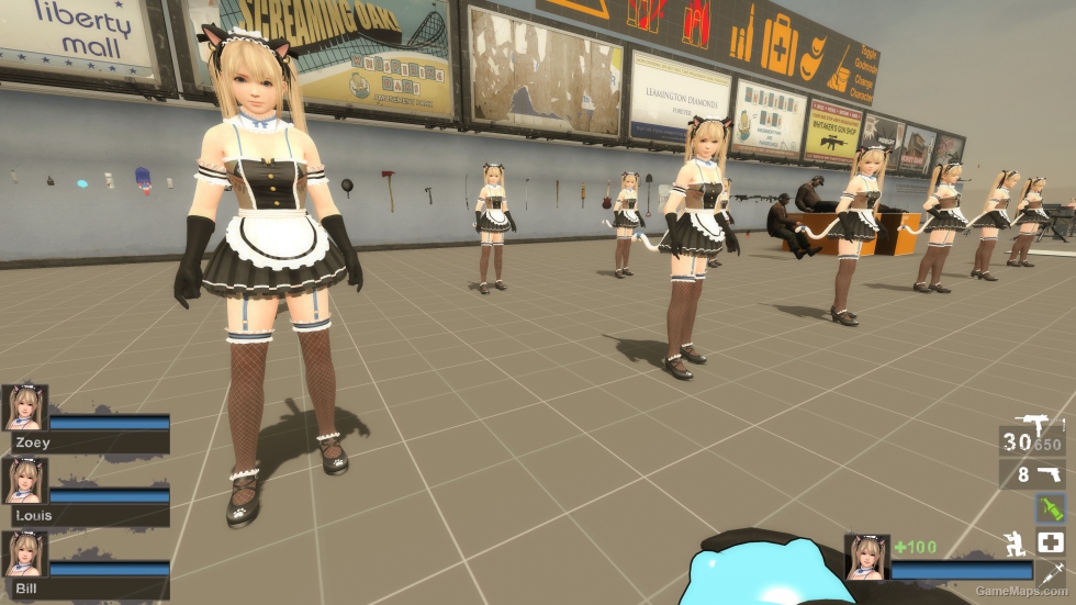 Only DOAXVV Marie Rose Whimsical Nyan Maid nht (request)