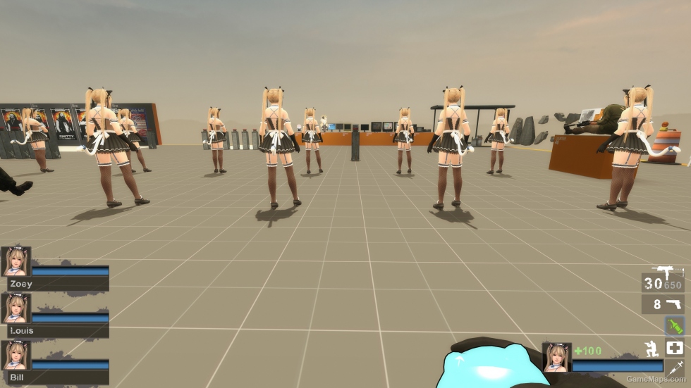 Only DOAXVV Marie Rose Whimsical Nyan Maid nht (request)