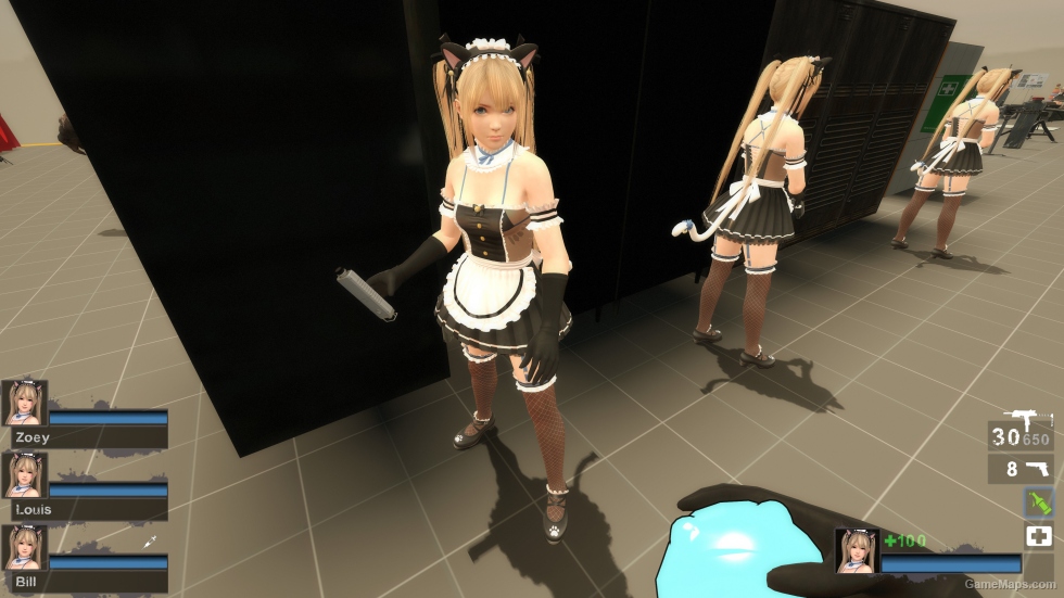 Only DOAXVV Marie Rose Whimsical Nyan Maid nht (request)