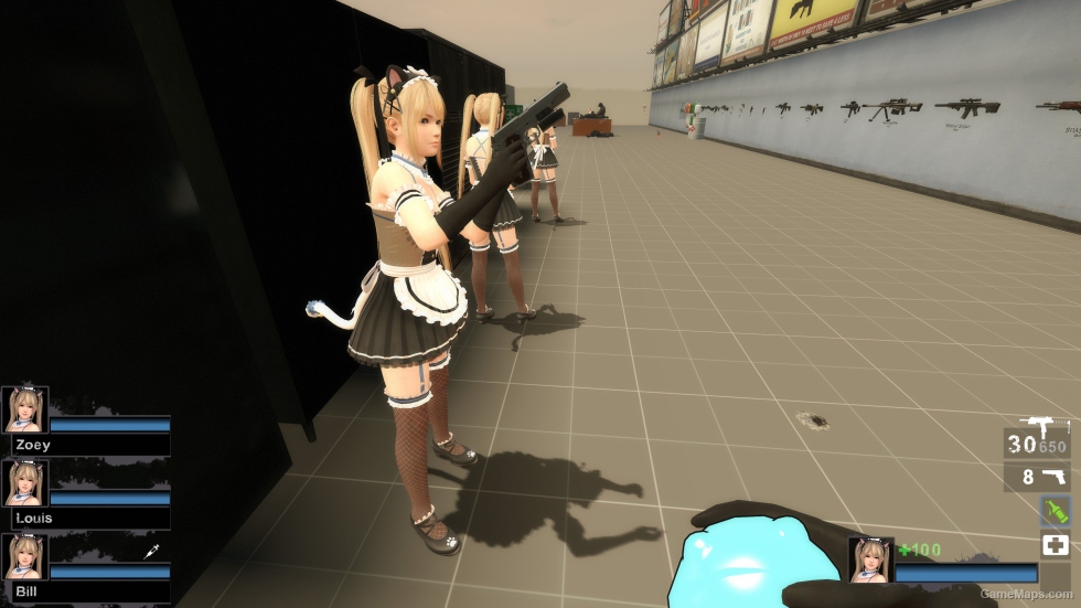 Only DOAXVV Marie Rose Whimsical Nyan Maid nht (request)