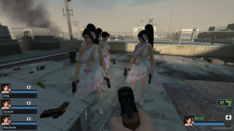 Only DOAXVV Momiji Bouquet Dahlia nht (request)