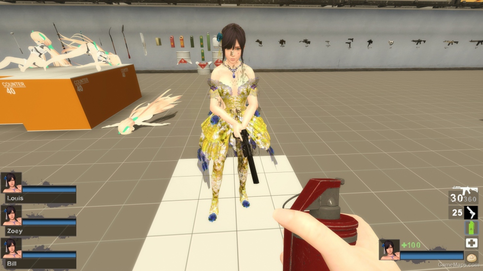 Only DOAXVV Nagisa BC Zoey (request)