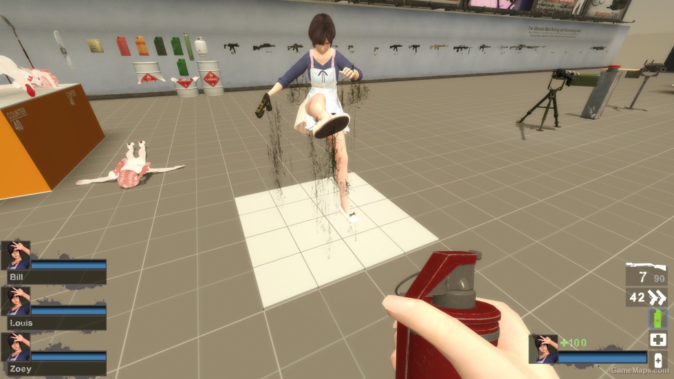 Only DOAXVV Nagisa SApron Zoey