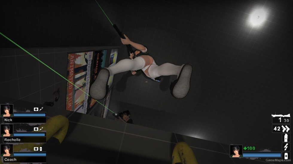 Only DOAXVV Nyotengu LFP Zoey (request)