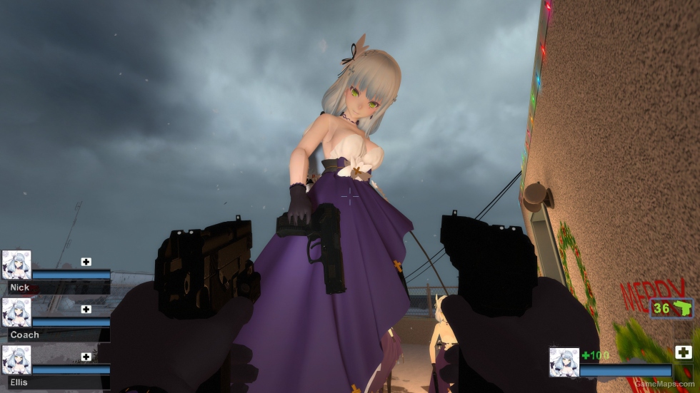 Only GF HK416 Hnm Zoey (request)
