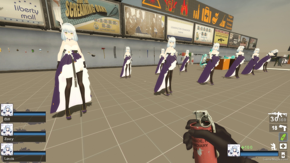 Only GF HK416 Hnm Zoey (request)
