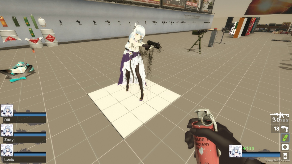 Only GF HK416 Hnm Zoey (request)