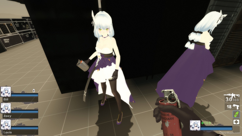 Only GF HK416 Hnm Zoey (request)
