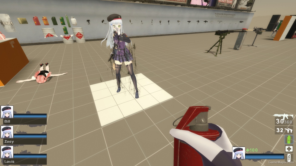 Only GF HK416 Zoey (request)
