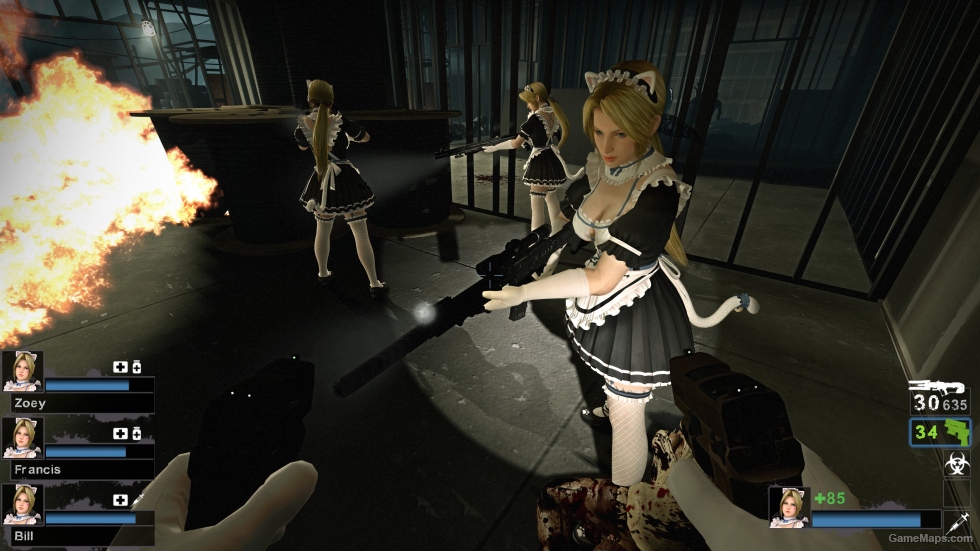Only Helena Whimsical Nyan Maid ponytail nht (request)