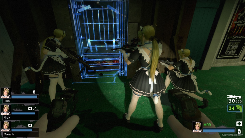 Only Helena Whimsical Nyan Maid ponytail nht (request)