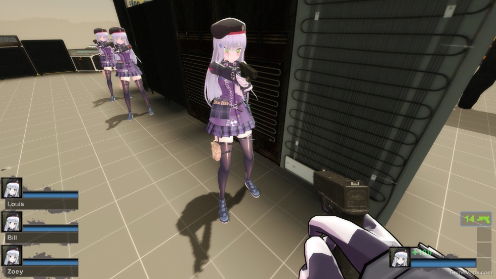 Only HK416 GF Enhanced Zoey (request)