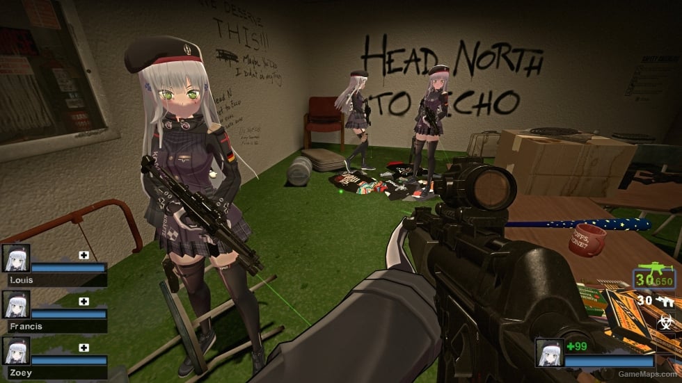 Only HK416 GF Enhanced Zoey (request)