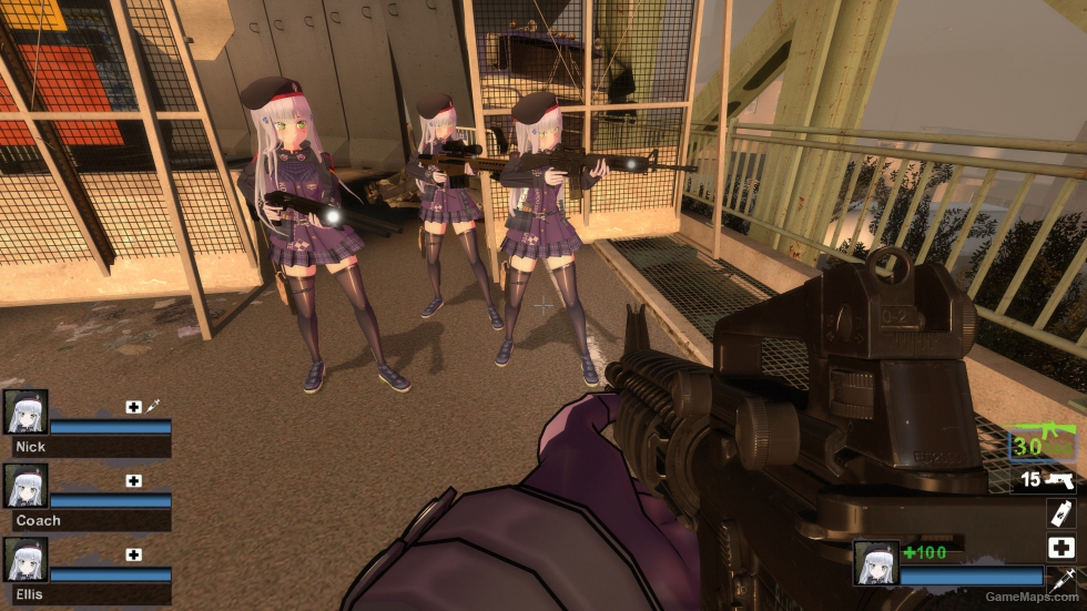 Only HK416 GF Enhanced Zoey (request)