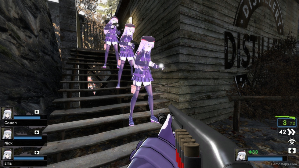 Only HK416 Glowing Zoey (request)