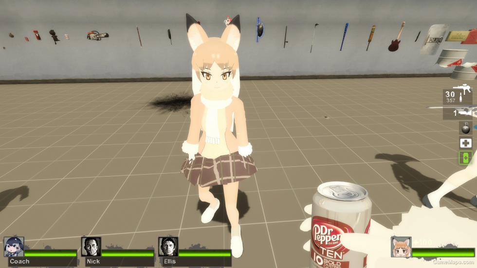 only kemono friends pale fox zoey
