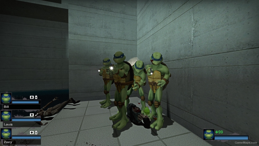 Only Leonardo TMNT (request)