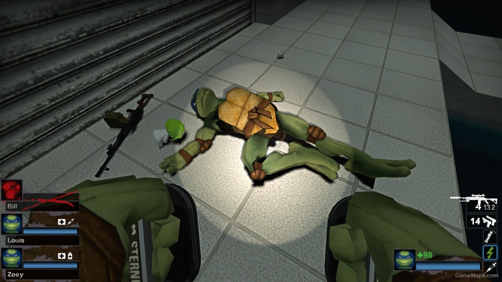 Only Leonardo TMNT (request)