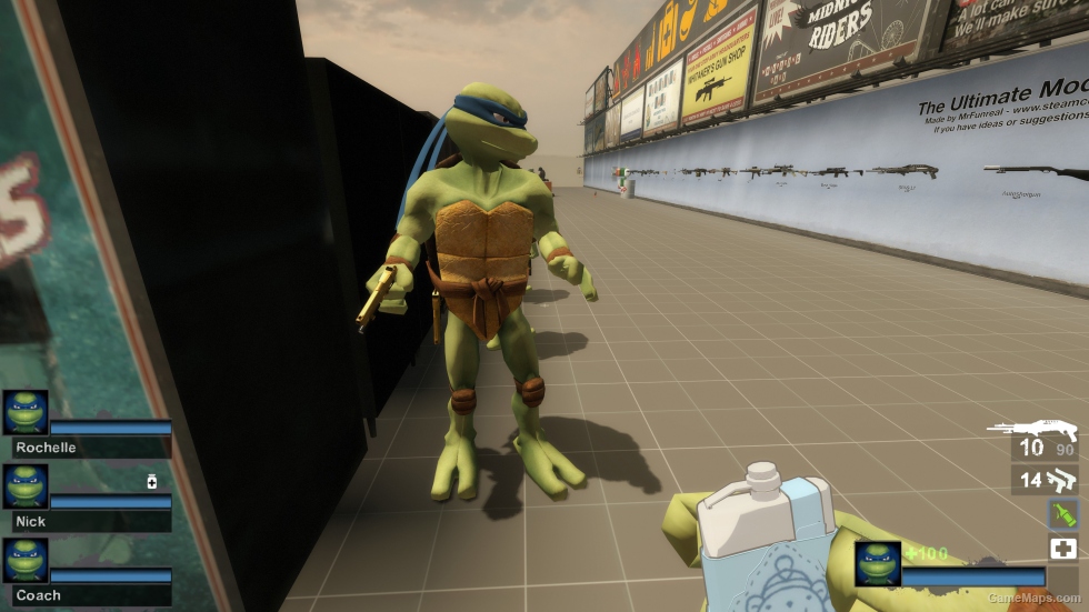 Only Leonardo TMNT (request)