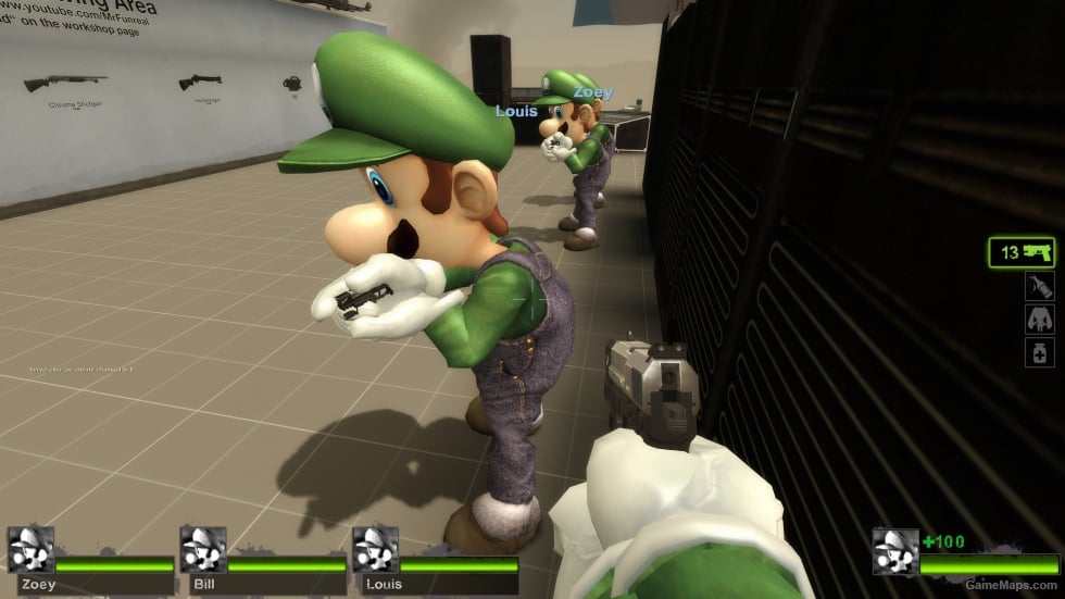 Only Luigi Survivor (request)