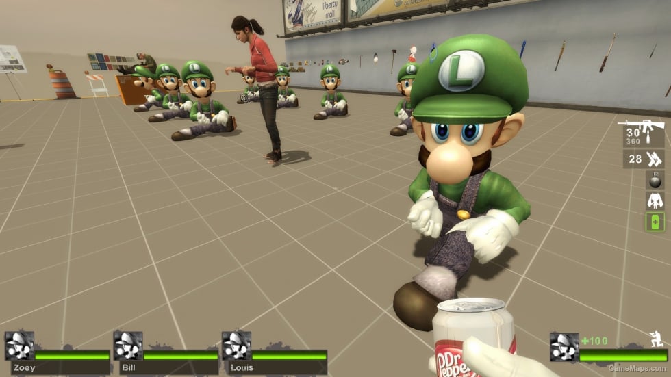Only Luigi Survivor (request)