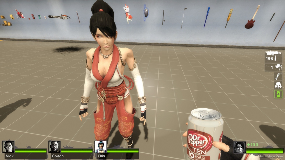 Only Momiji Ninja Gaiden Zoey (request)