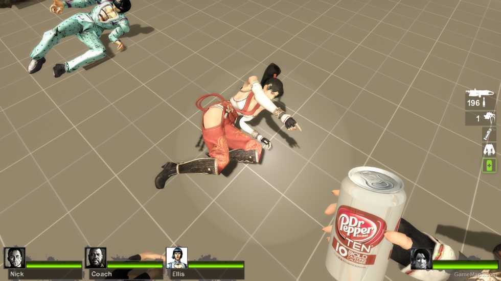 Only Momiji Ninja Gaiden Zoey (request)