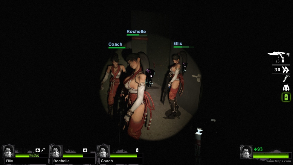 Only Momiji Ninja Gaiden Zoey (request)