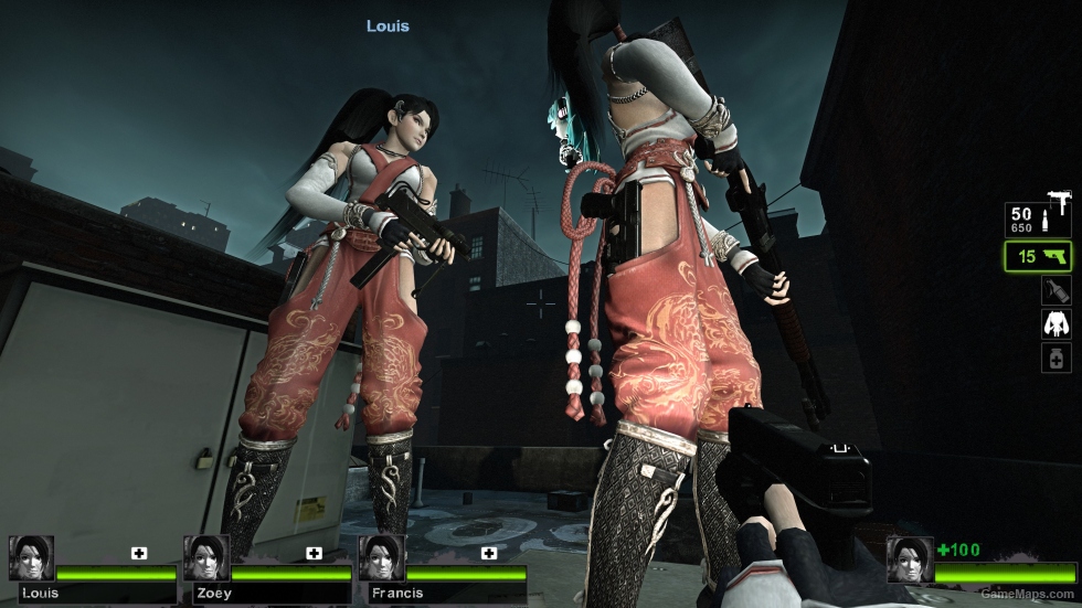 Only Momiji Ninja Gaiden Zoey (request)
