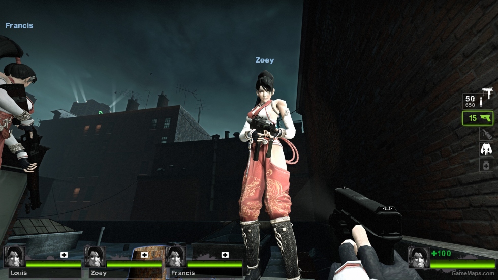 Only Momiji Ninja Gaiden Zoey (request)