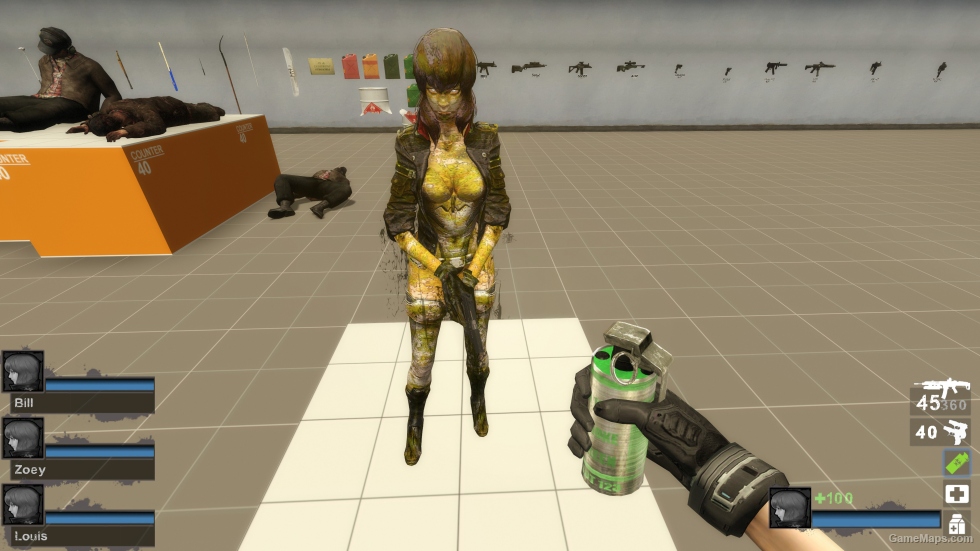 Only Motoko Kusanagi