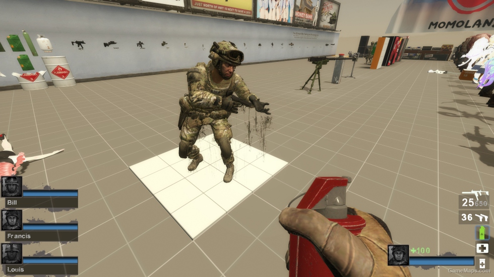 Only MW2 US Infantry OCP (request)