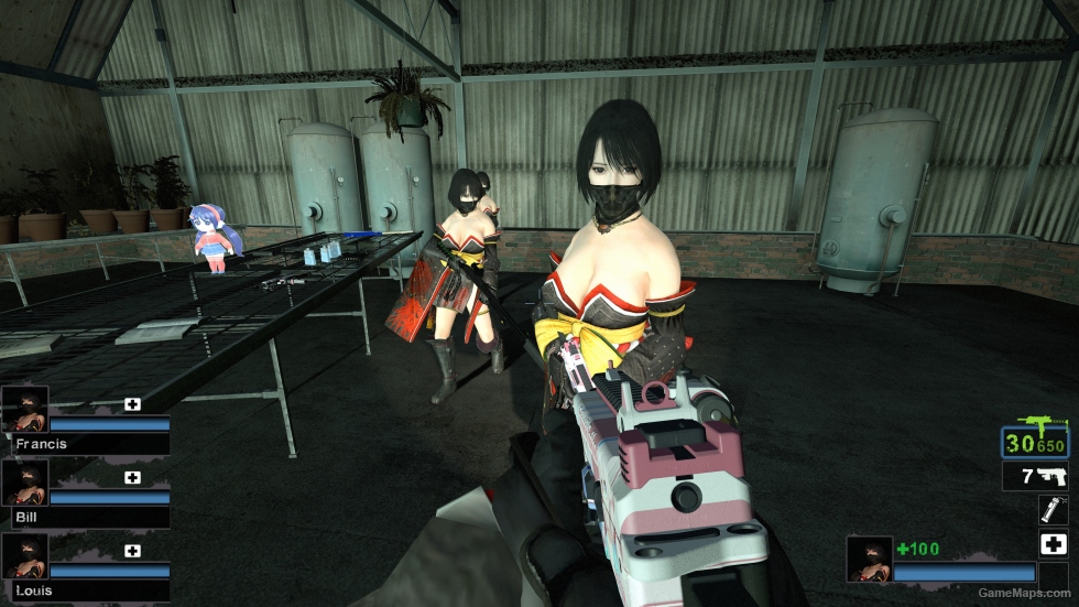 Only Nioh2 Hide (request)