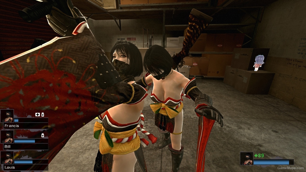 Only Nioh2 Hide (request)