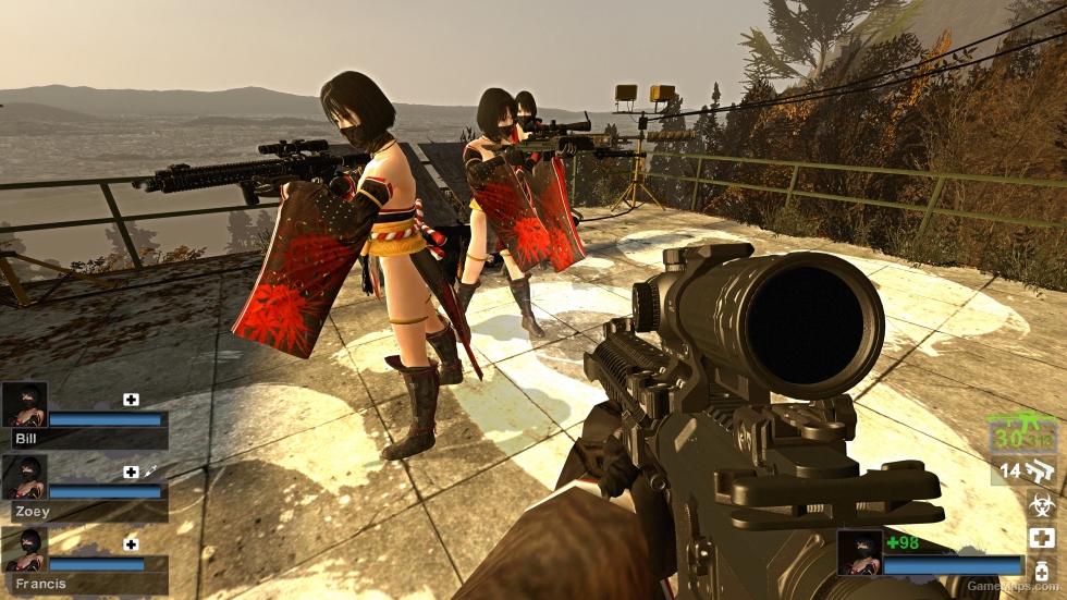 Only Nioh2 Hide (request)