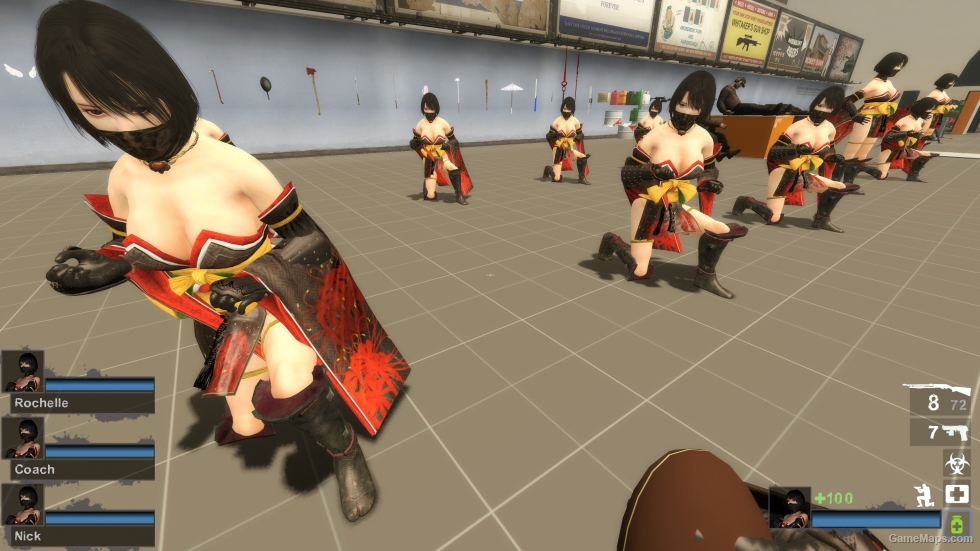 Only Nioh2 Hide (request)