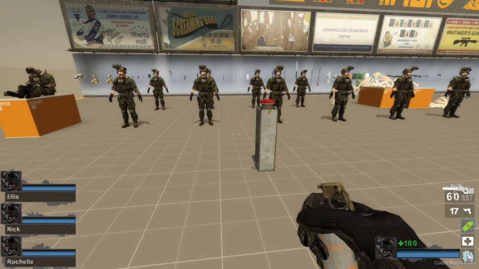 Only NSWDG Blue Squadron (request)