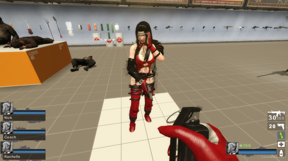 Only Rachel Ninja Gaiden bb (request)