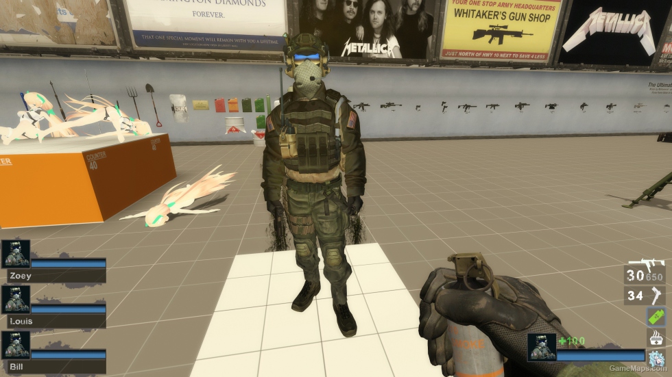 Only Seal Team 6 Soldier csgo (request)