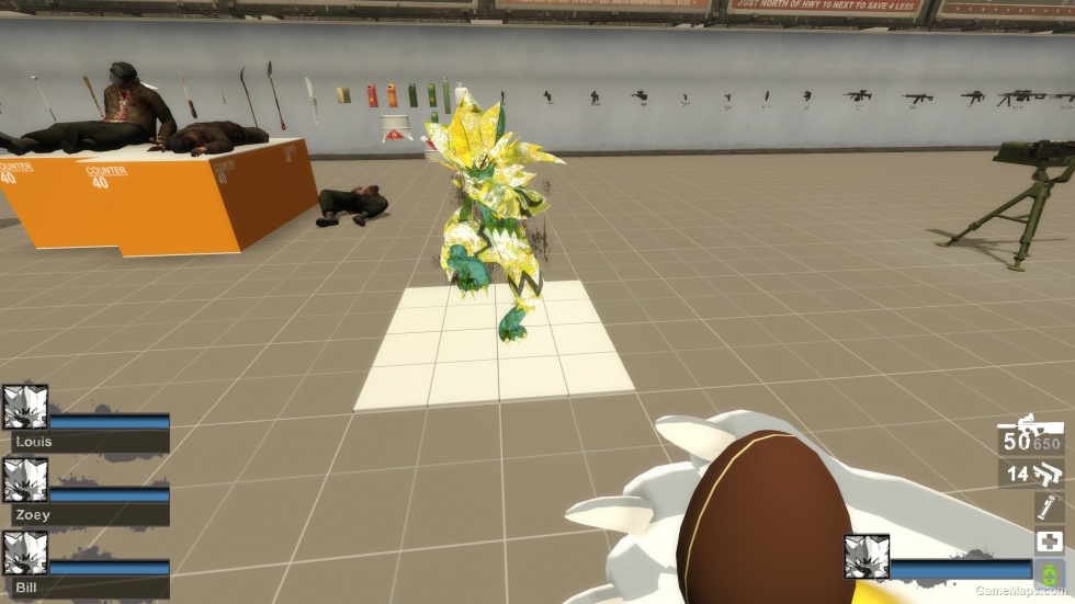 Only Shiny Zeraora (request)