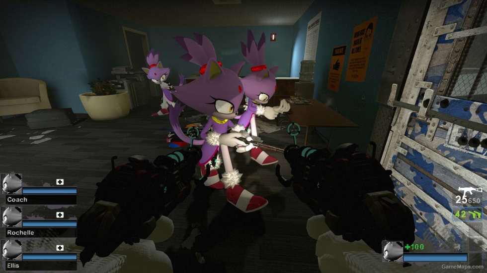 Only Sonic GB the Cat v1 Zoey (request)