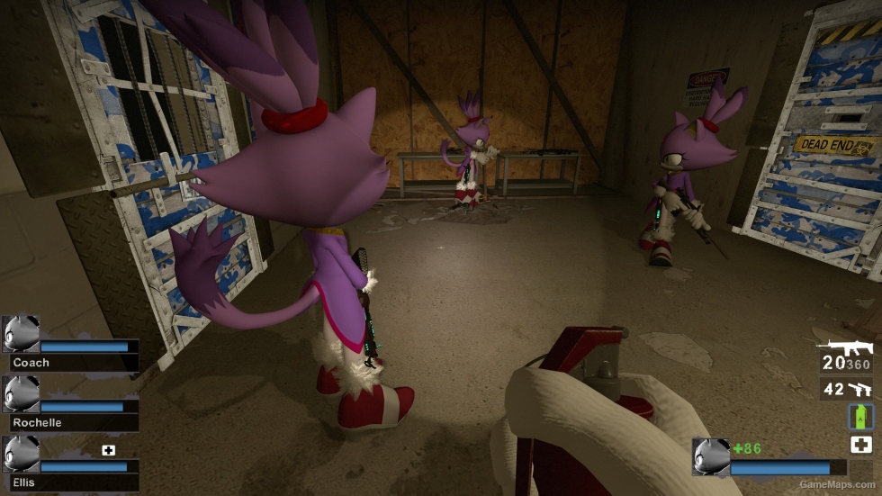 Only Sonic GB the Cat v1 Zoey (request)