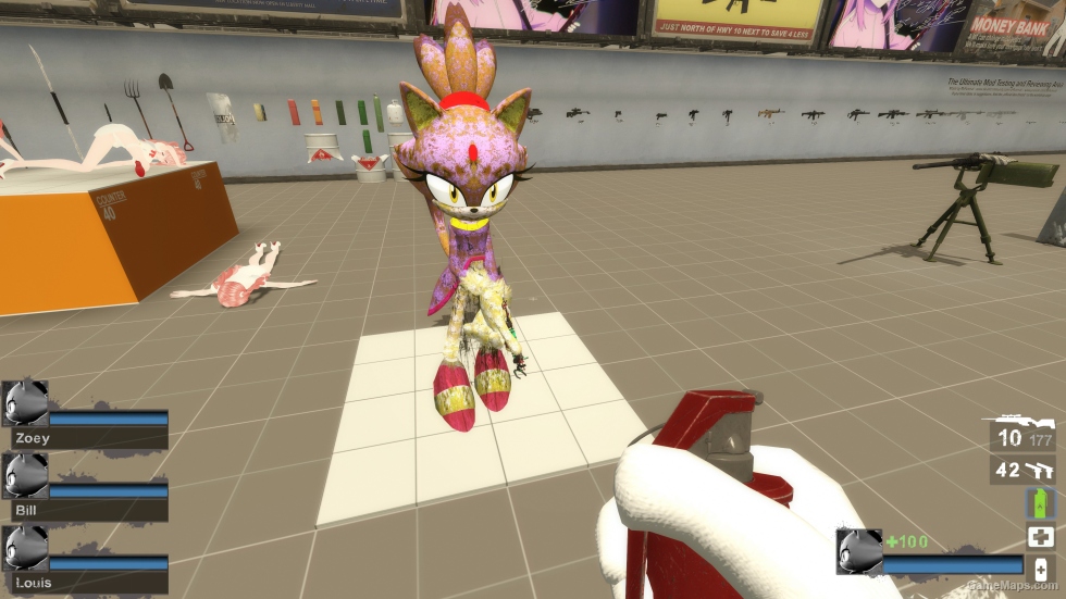 Only Sonic GB the Cat v1 Zoey (request)